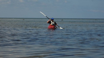 VED STRANDEN - LYSTRUP STRAND, kajakroer.jpg